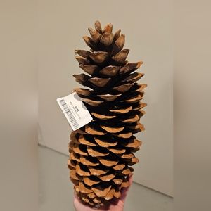 Large Sugar Pinecone